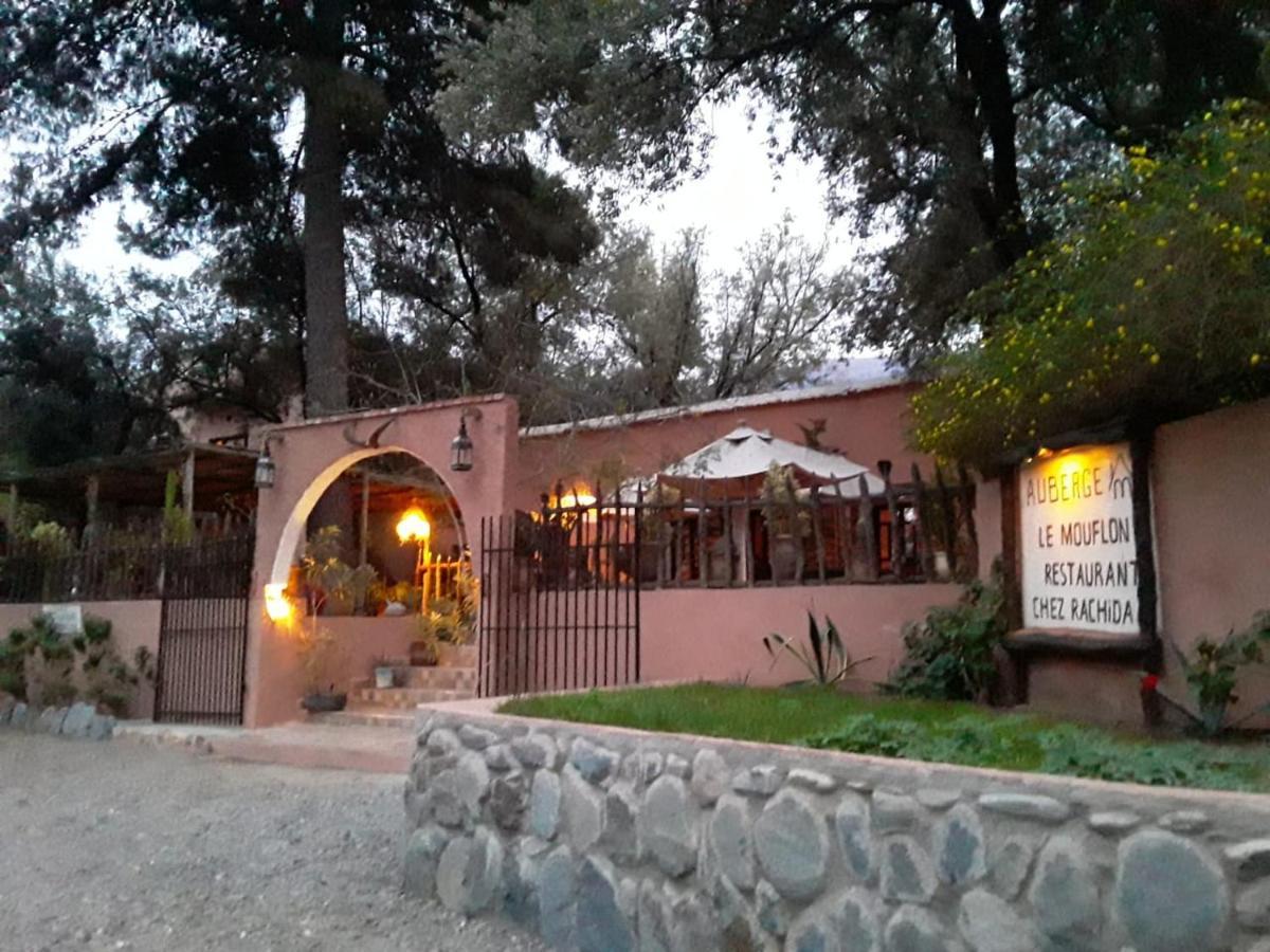 Auberge Le Mouflon Ouirgane Exterior foto