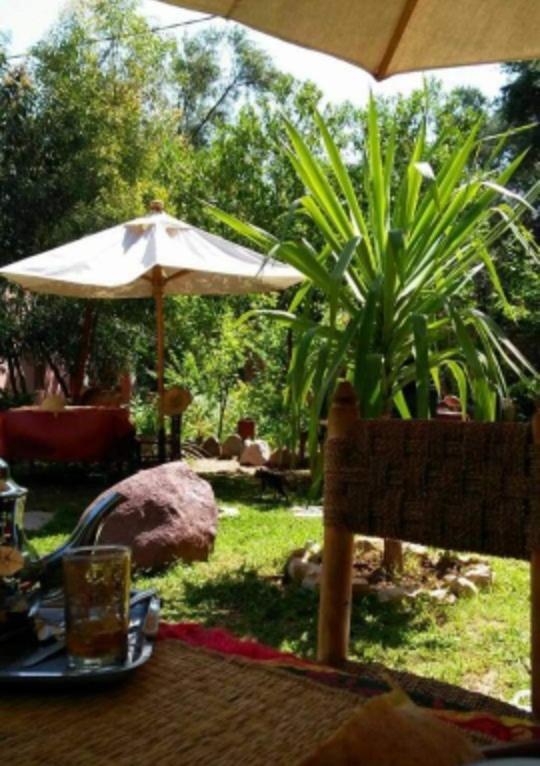 Auberge Le Mouflon Ouirgane Exterior foto