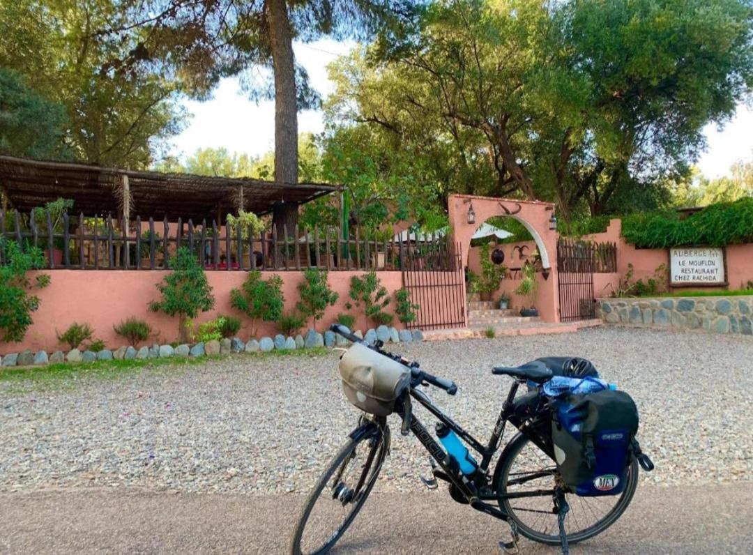 Auberge Le Mouflon Ouirgane Exterior foto